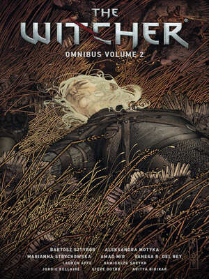 The Witcher Omnibus Volume 2 - ebook